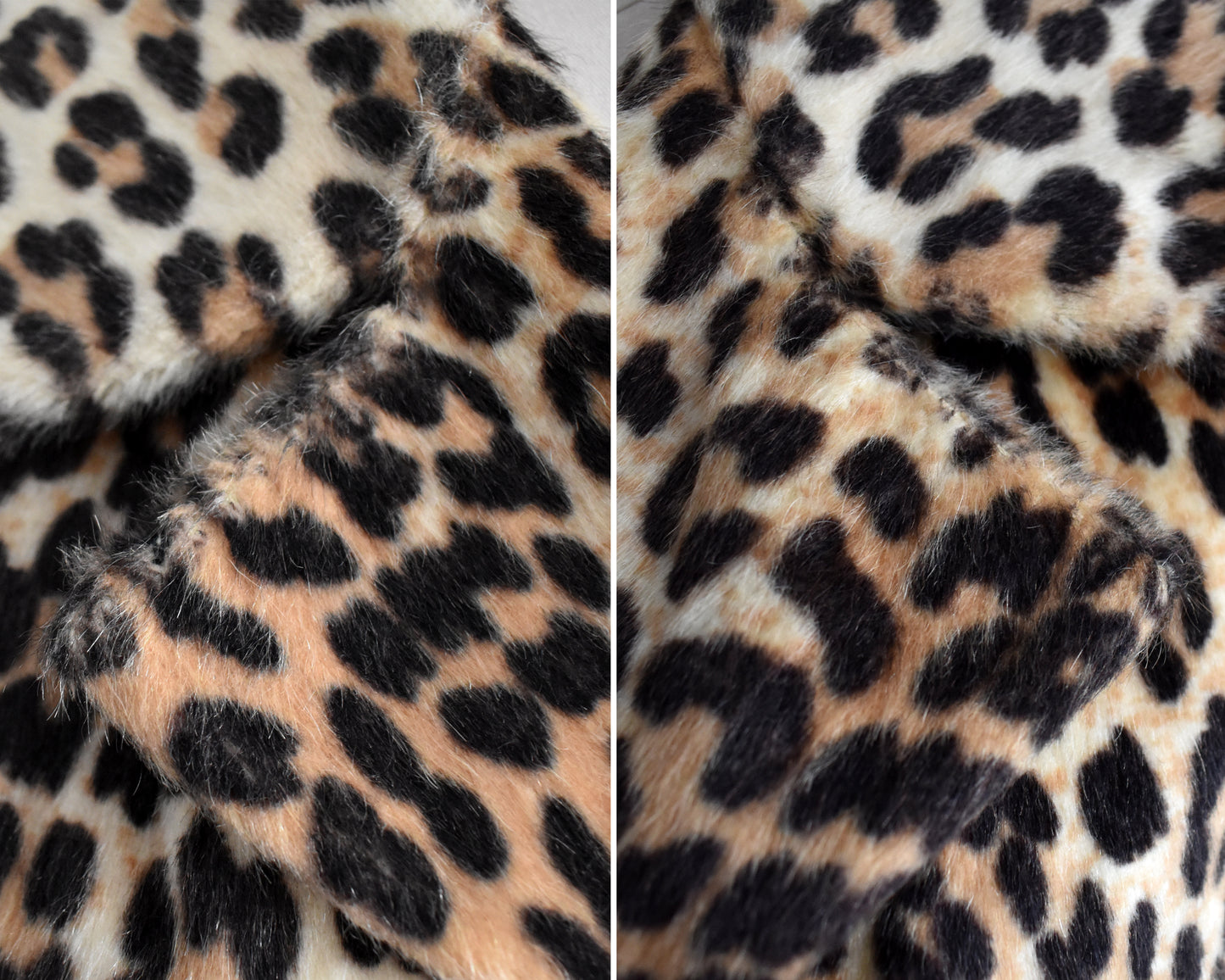 close up of the leopard print collar which has some thin spots