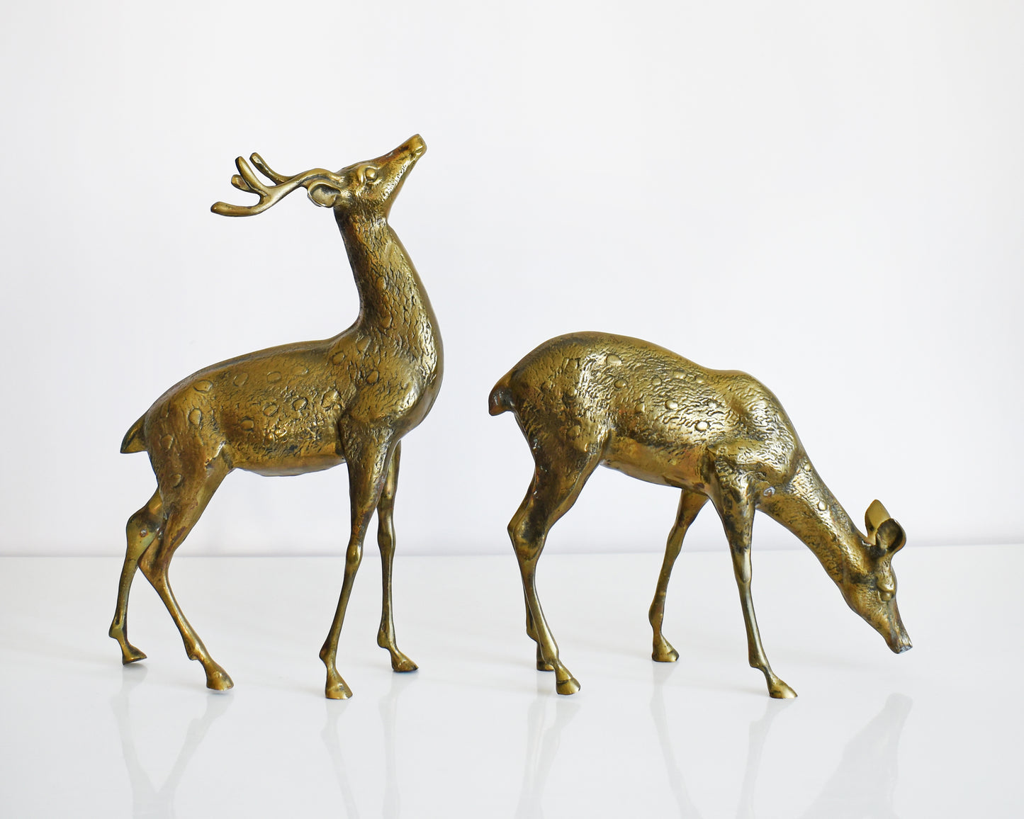 Two vintage brass deers standing on a white table and white background. The buck is standing upright displaying his antlers and the doe is grazing on the ground. Both of the deer have excellent fur and spotted detail.