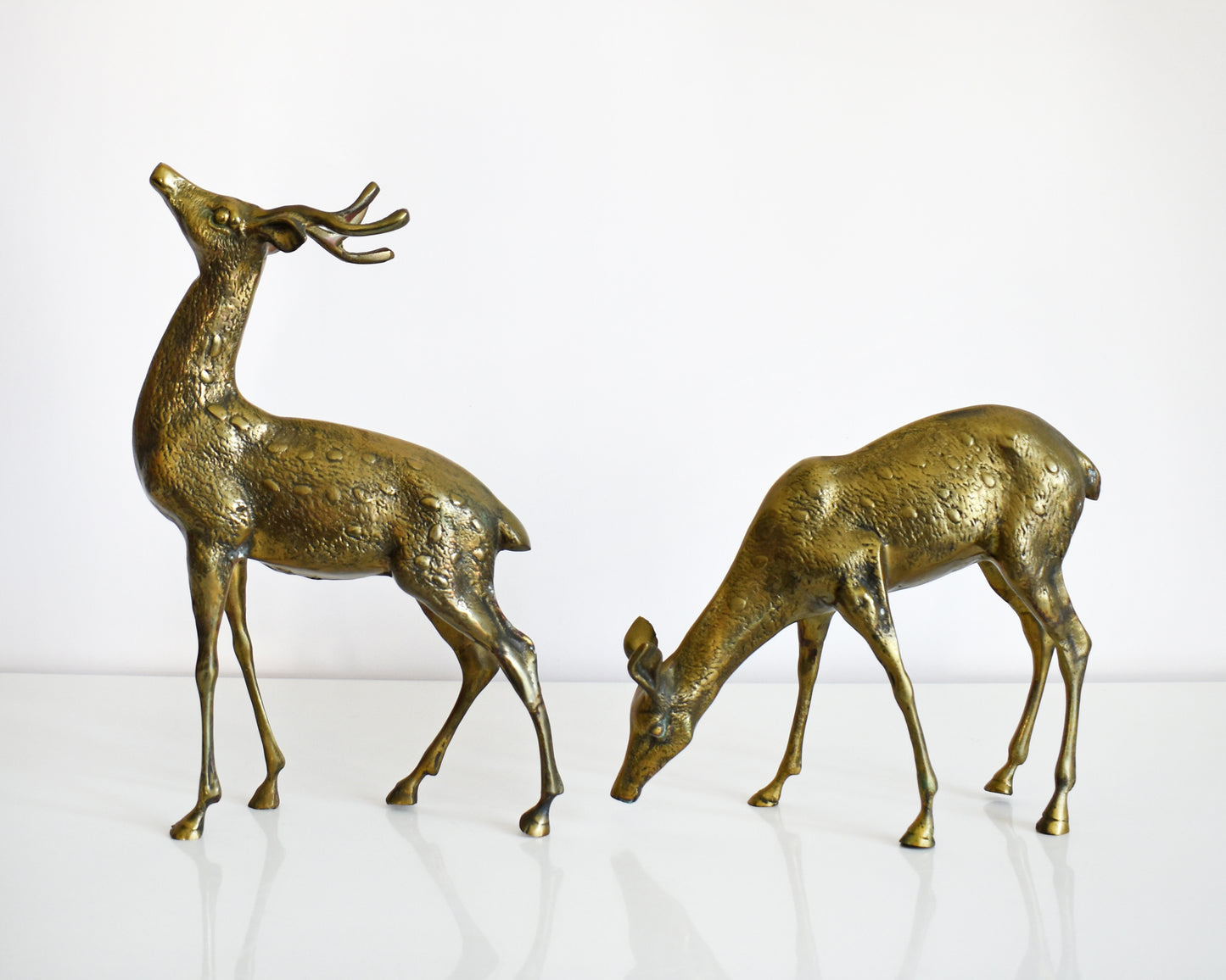 Two vintage brass deers standing on a white table and white background. The buck is standing upright displaying his antlers and the doe is grazing on the ground. Both of the deer have excellent fur and spotted detail.