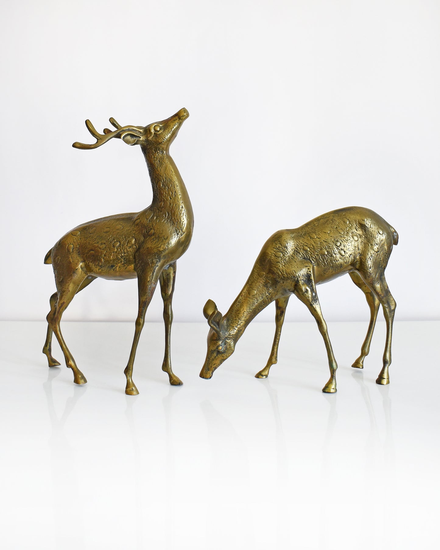 Two vintage brass deers standing on a white table and white background. The buck is standing upright displaying his antlers and the doe is grazing on the ground. Both of the deer have excellent fur and spotted detail.