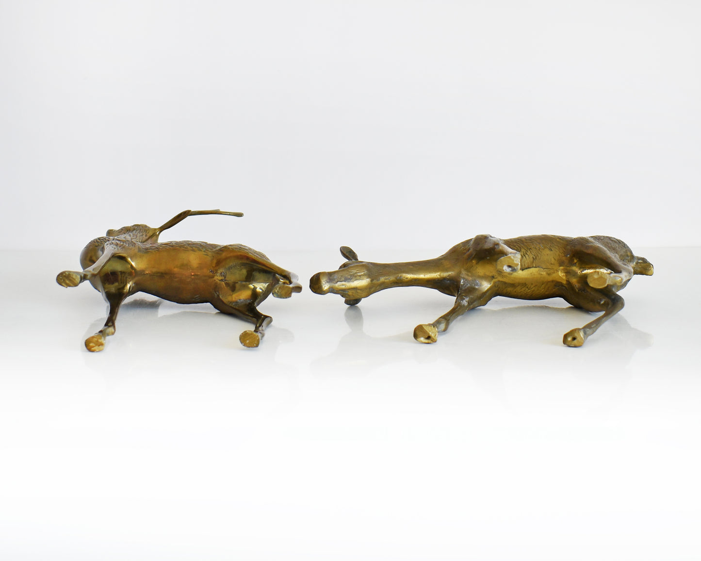 The two deers are lying down so you can see the underside.