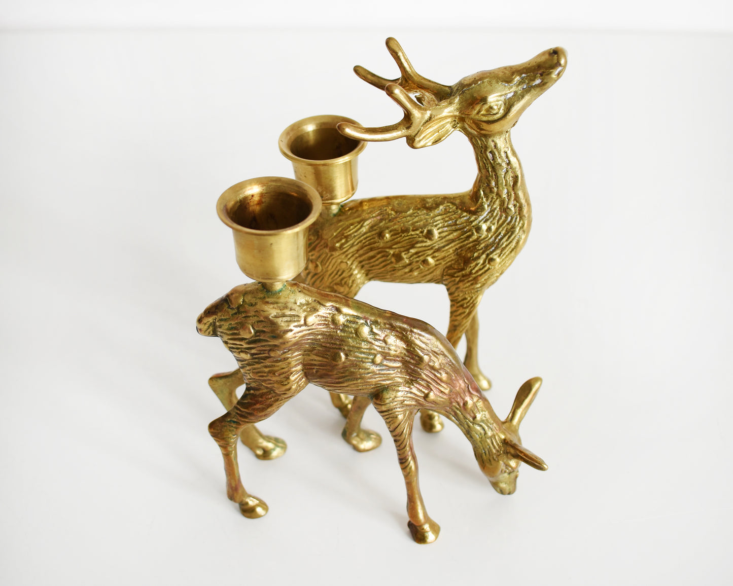 Close up of the deer, which shows the reddish hue on the doe