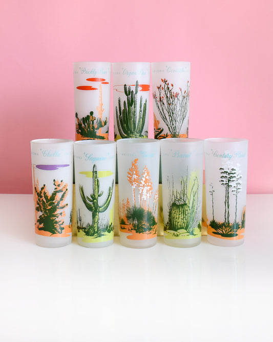 A set of 8 vintage glasses that each have a cactus or plant that is native to Arizona