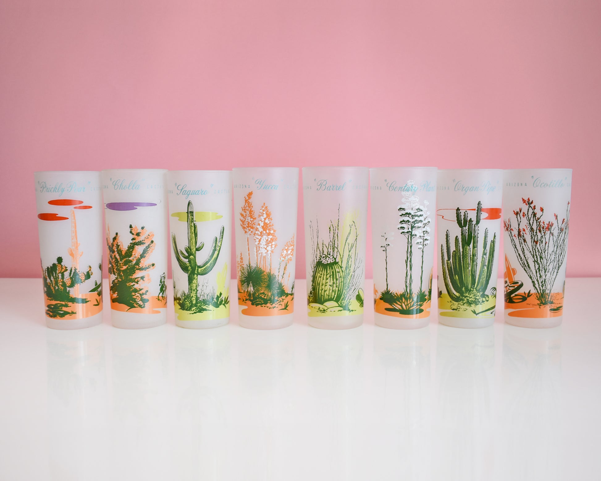 A set of 8 vintage glasses that each have a cactus or plant that is native to Arizona