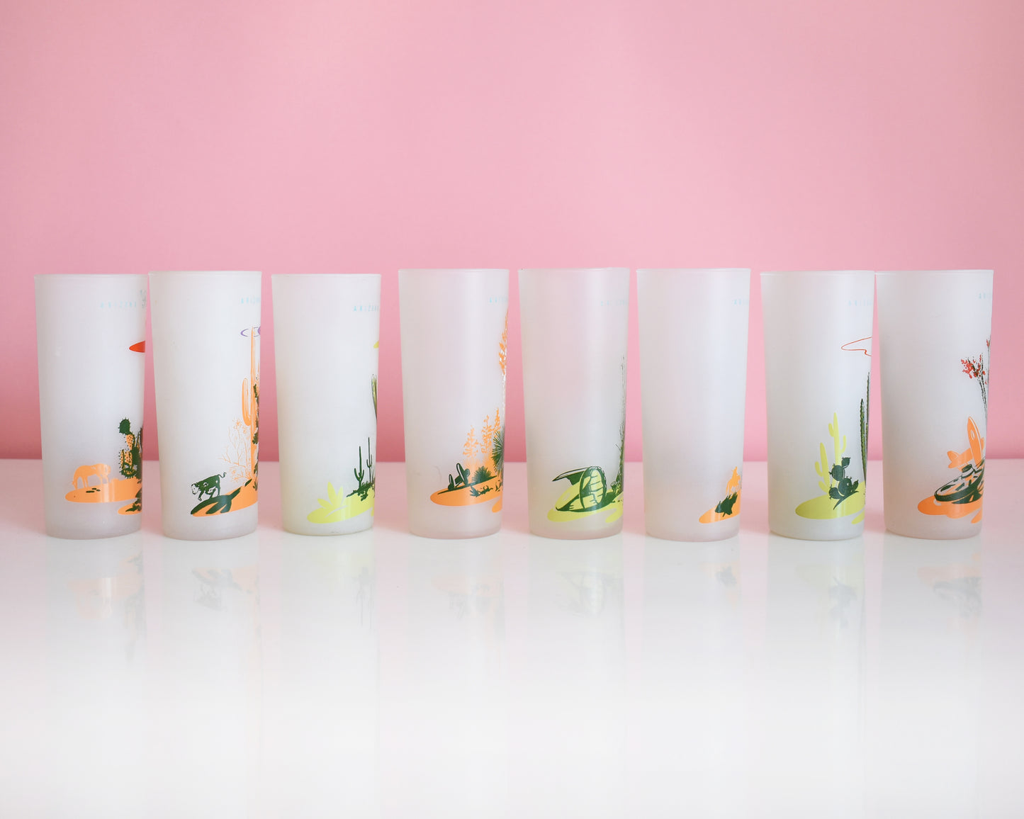 Side view of a set of 8 vintage glasses that each have a cactus or plant that is native to Arizona