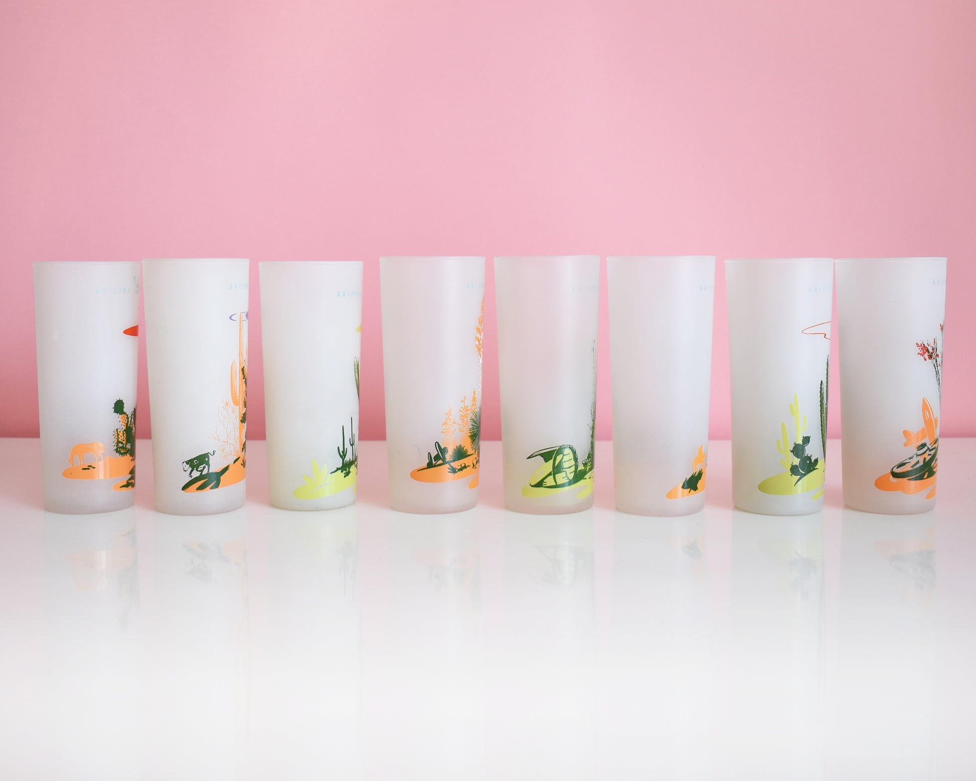 Side view of a set of 8 vintage glasses that each have a cactus or plant that is native to Arizona