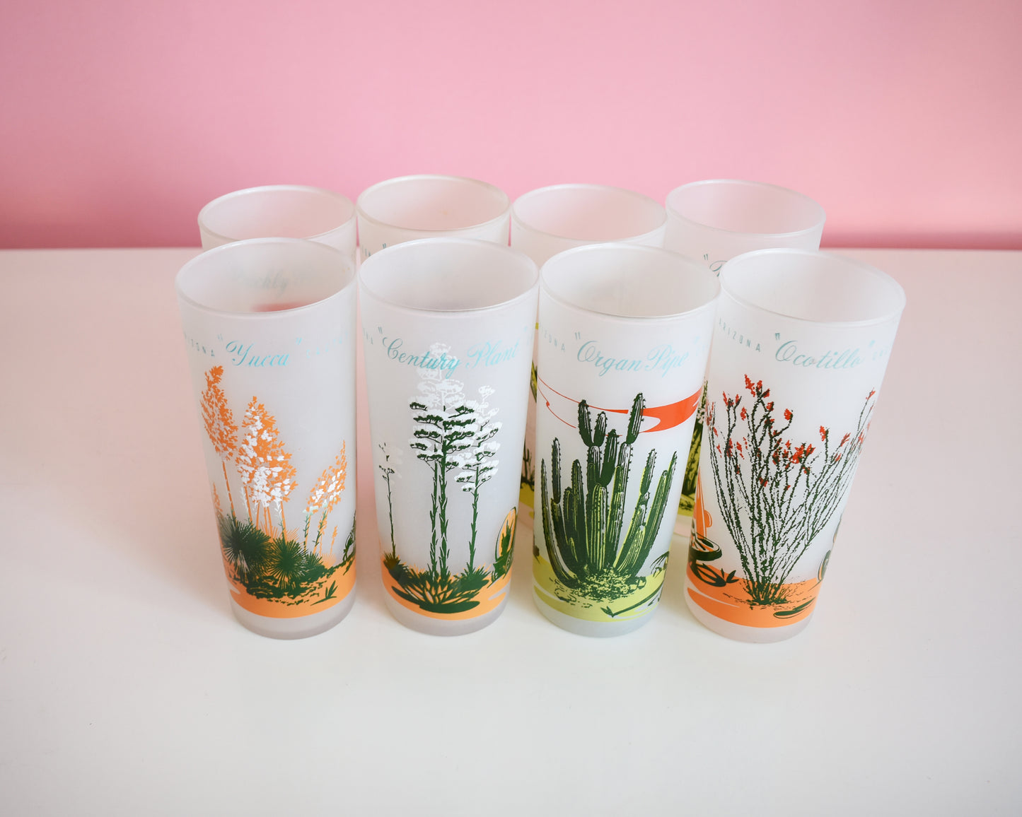 a set of 8 vintage glasses that each have a cactus or plant that is native to Arizona