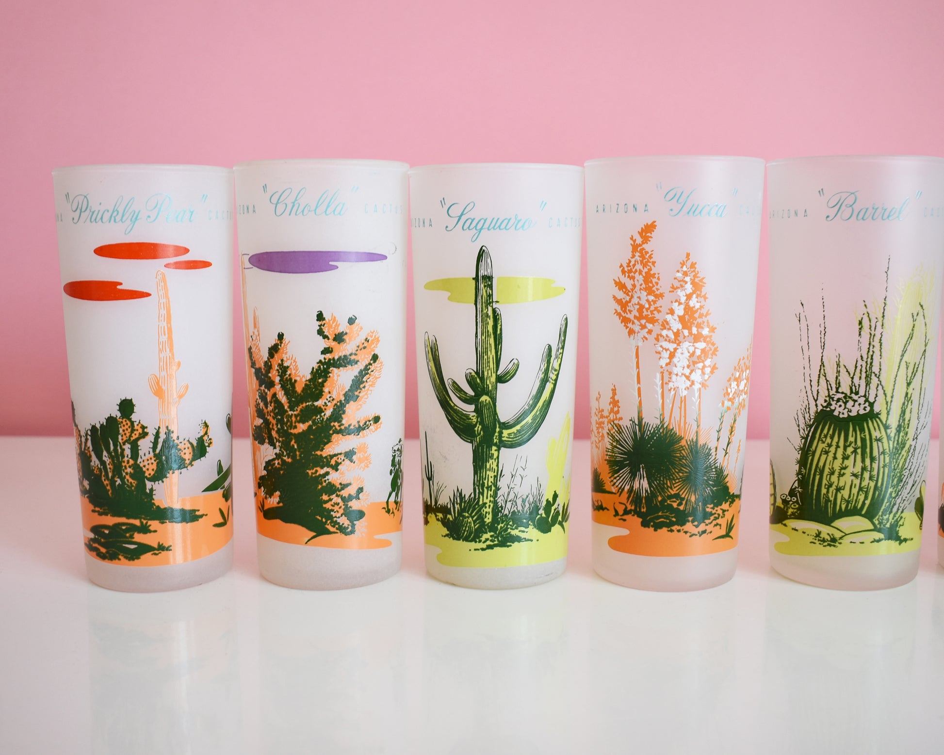 close up of a set of 8 vintage glasses that each have a cactus or plant that is native to Arizona