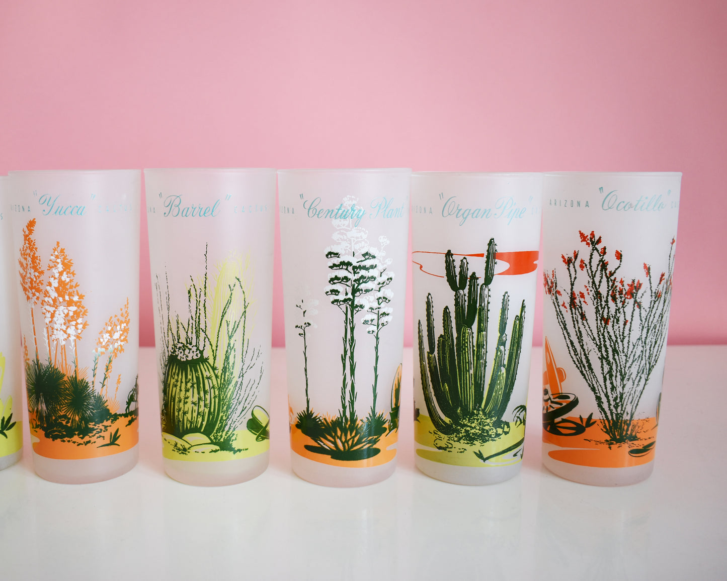 Close up of a set of 8 vintage glasses that each have a cactus or plant that is native to Arizona