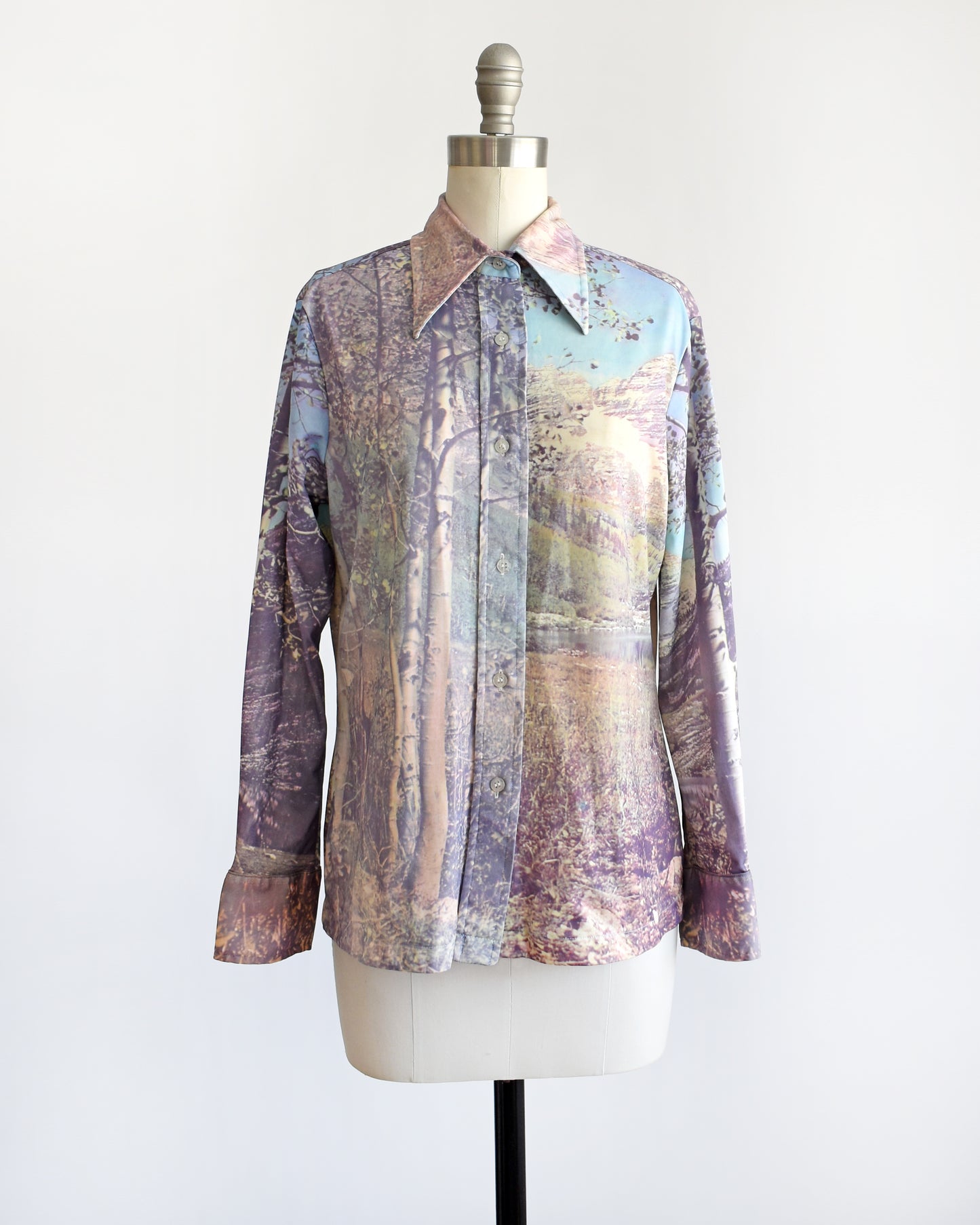 a vintage 1970s mountain scene disco blouse