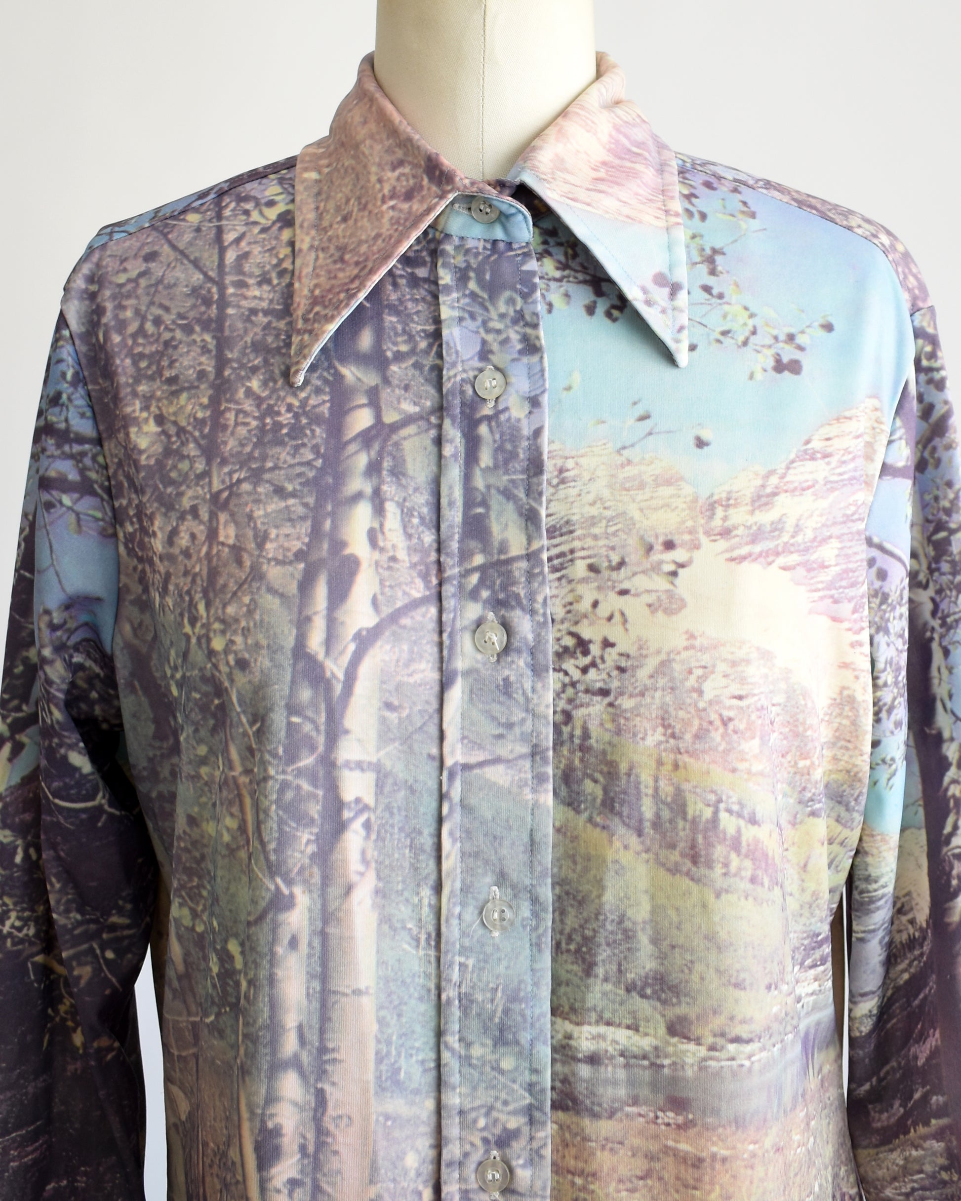 close up of the top of the blouse which shows the dagger collar, buttons, and mountain scene
