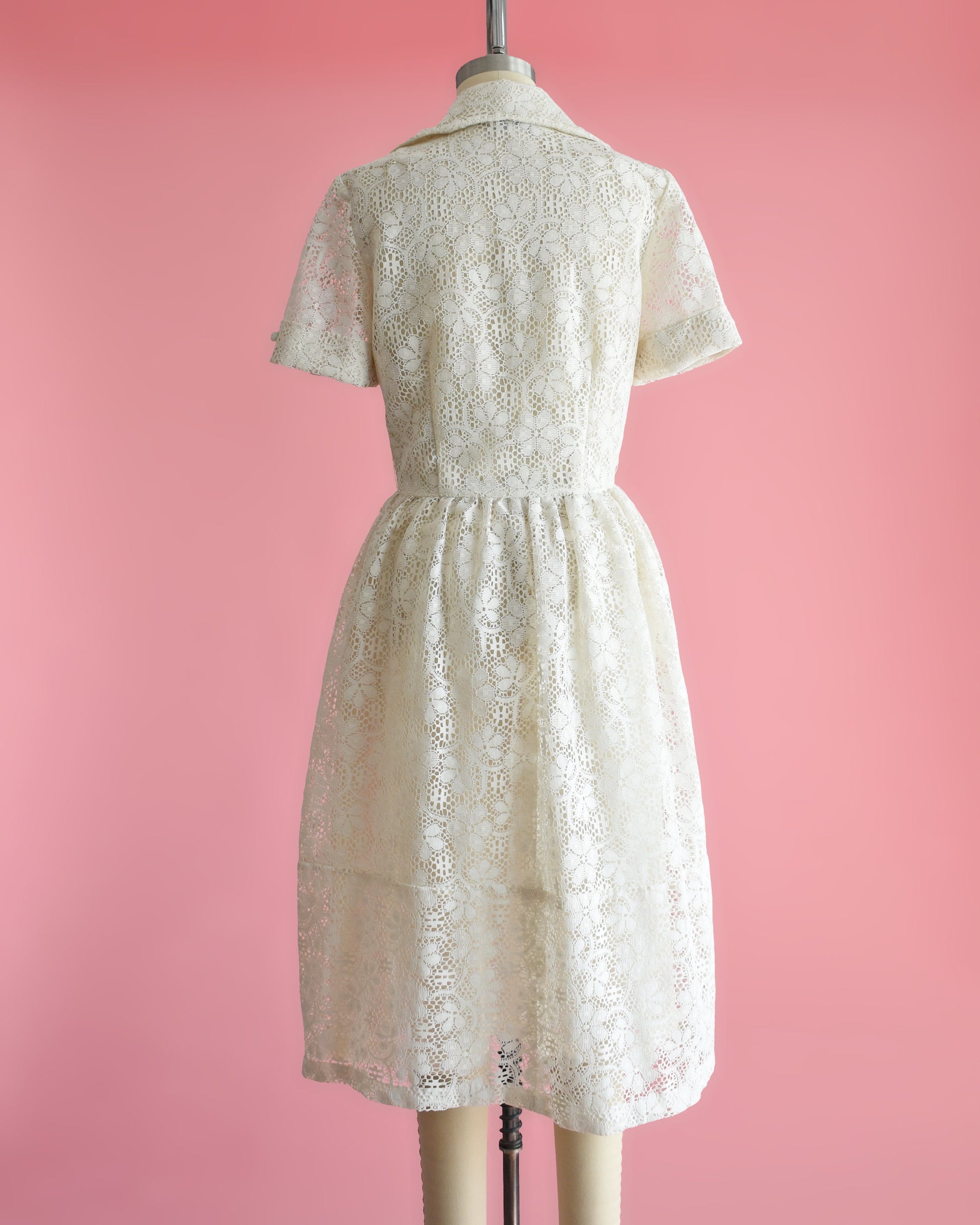 Back view of a A vintage cream floral lace dress with collared neckline and short sleeves on a dress form set on a pink background