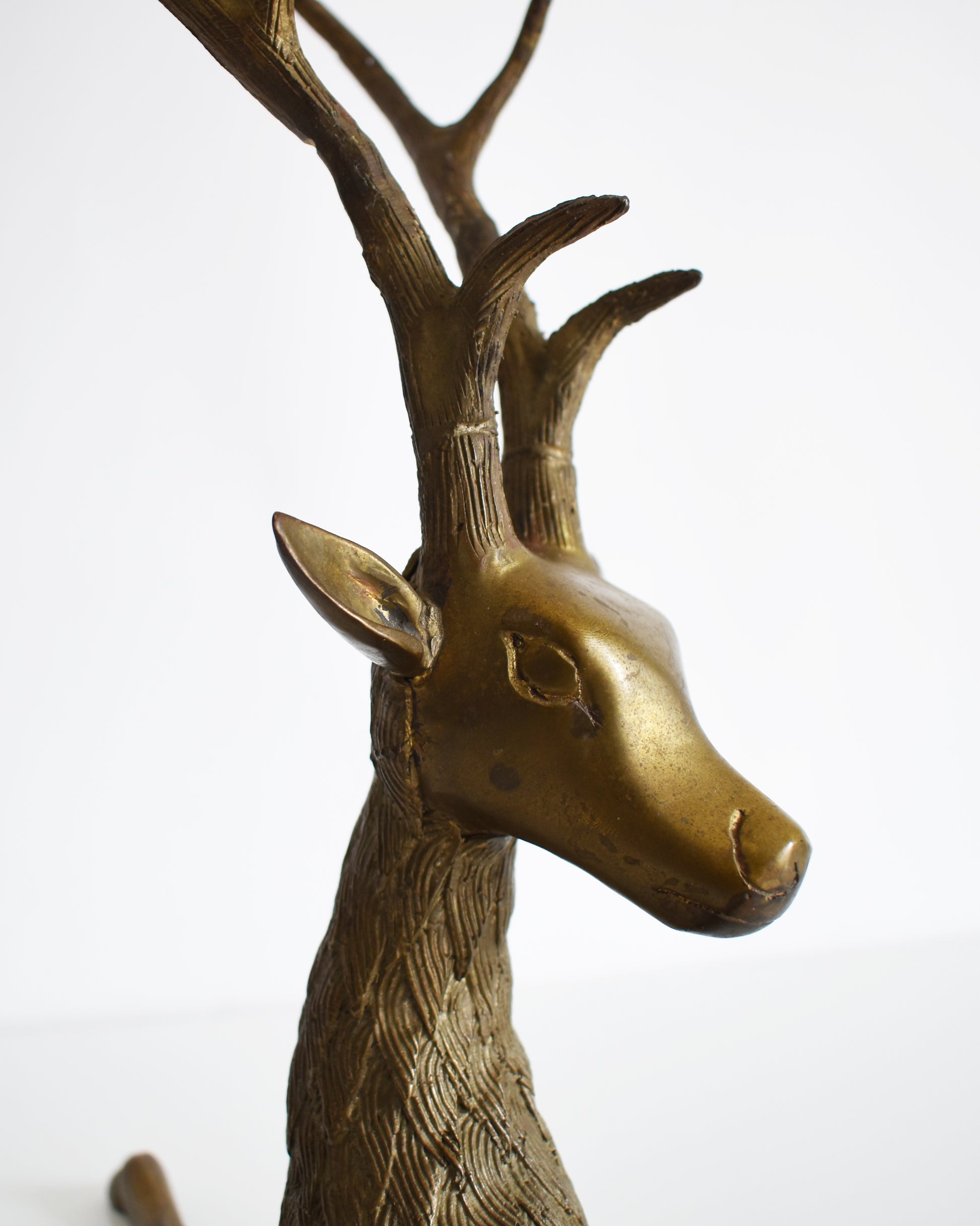 close up of the head of a vintage brass deer figurine on a white background