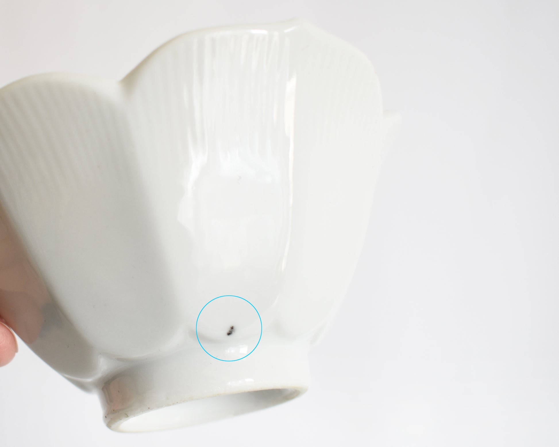 a white ceramic bowl with a small black speck circled on a white background