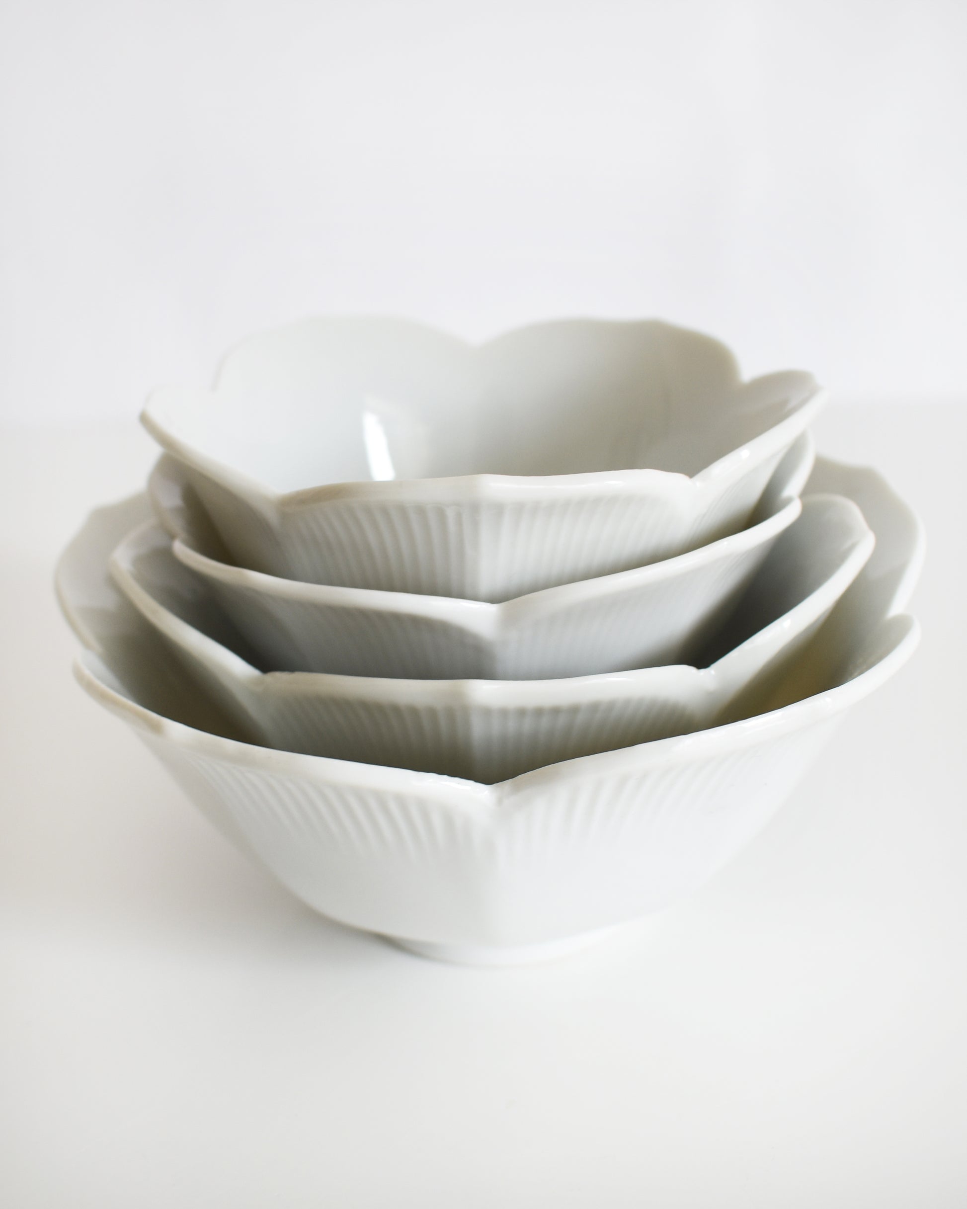 Set of white ceramic bowls of different sizes on a white background