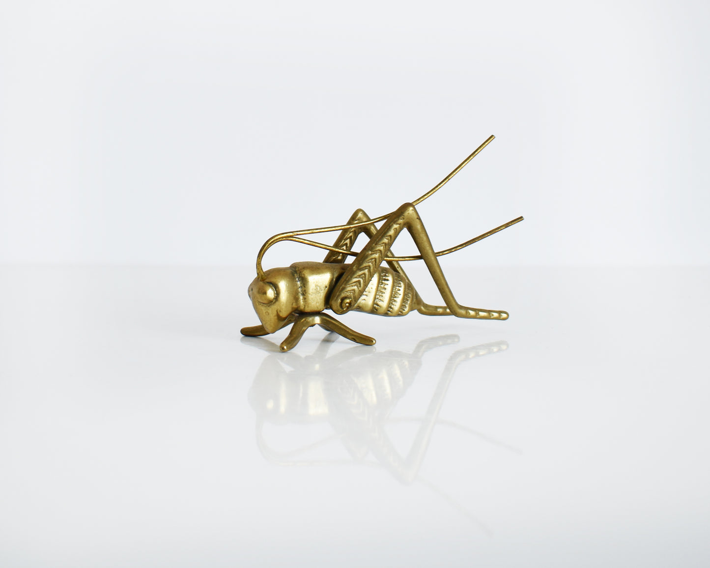 A vintage brass grasshopper/cricket on a white table.