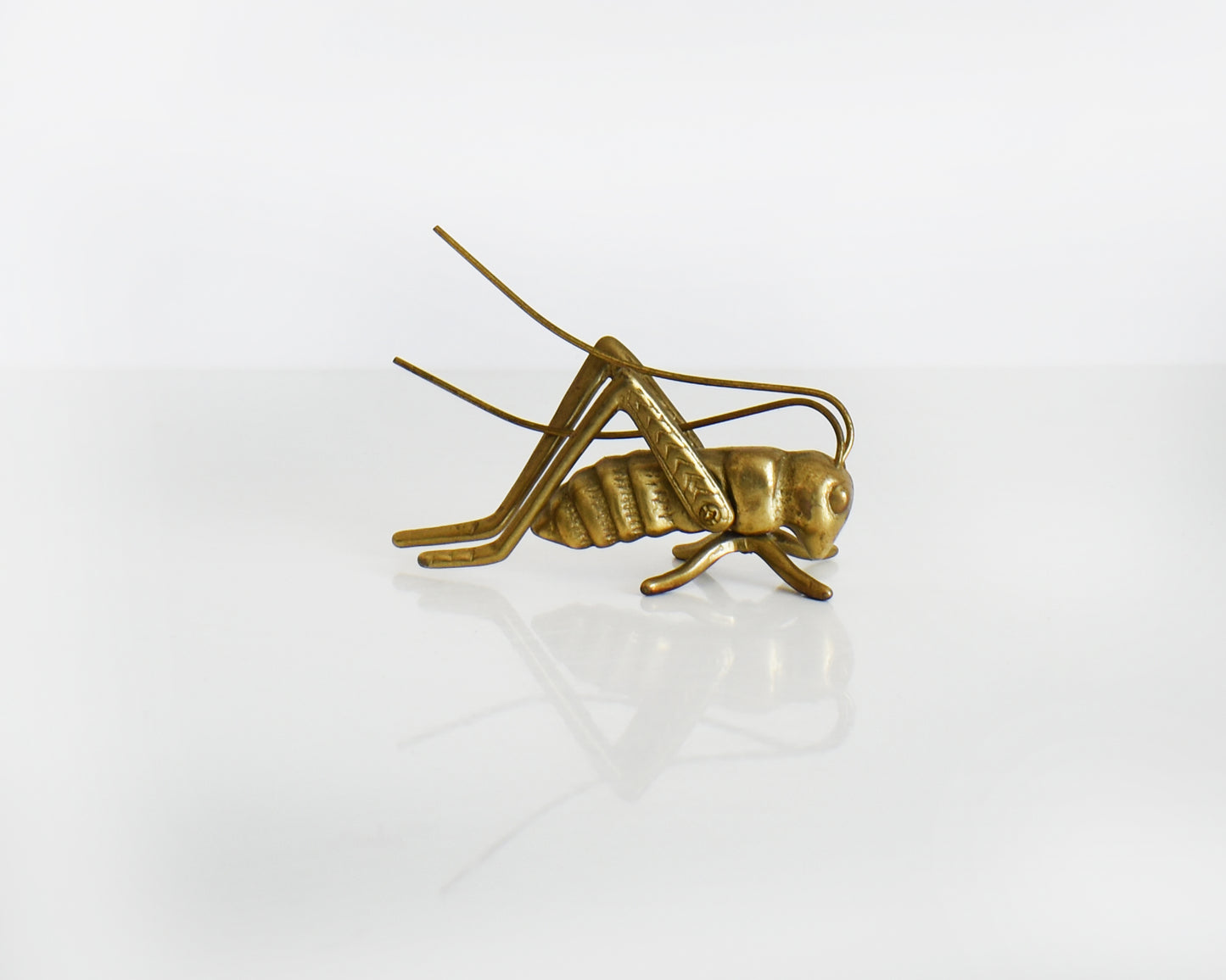 A vintage brass grasshopper/cricket on a white table.