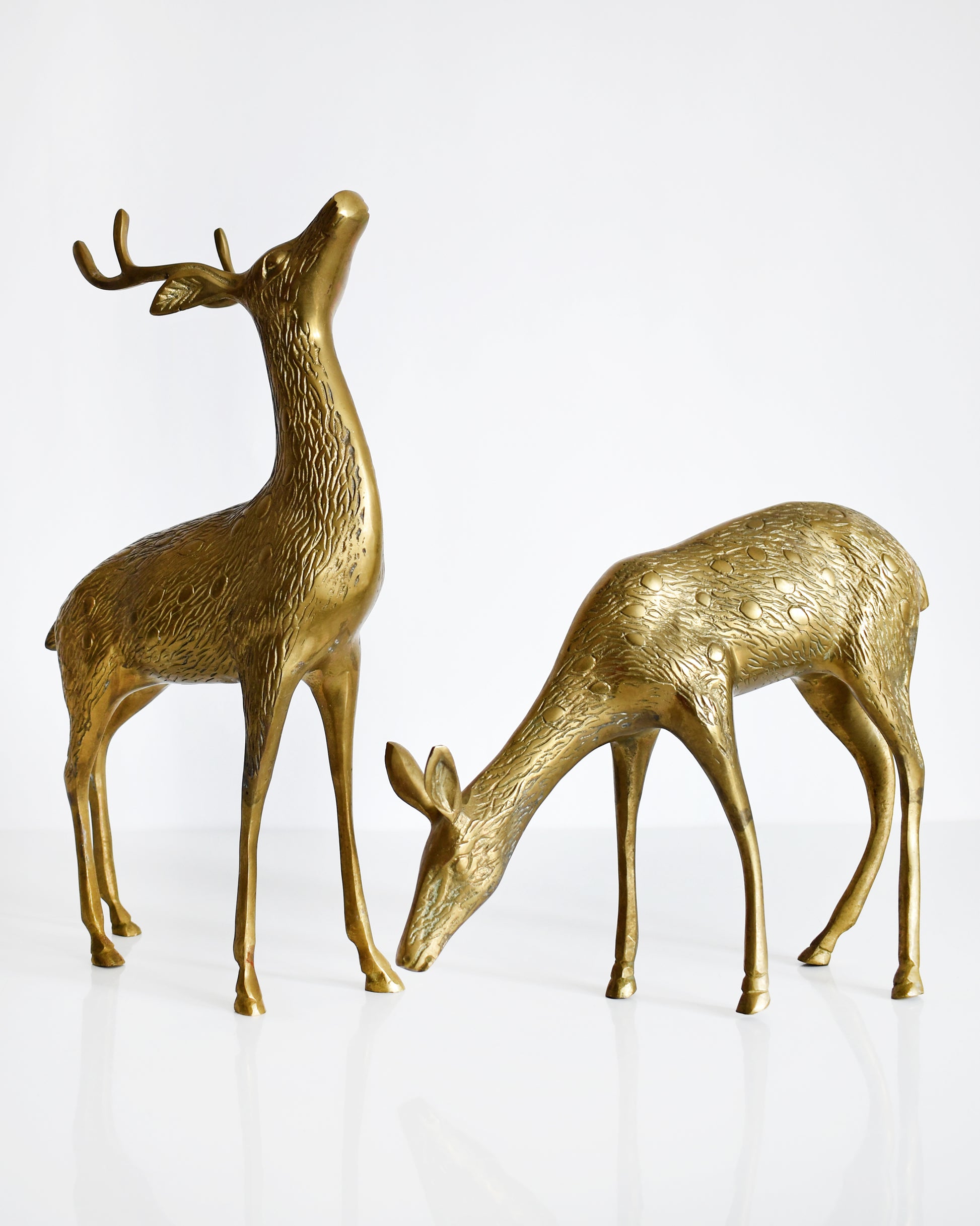 Two vintage brass deers standing on a white table and white background. The buck is standing upright displaying his antlers and the doe is grazing on the ground. Both of the deer have excellent fur and spotted detail.