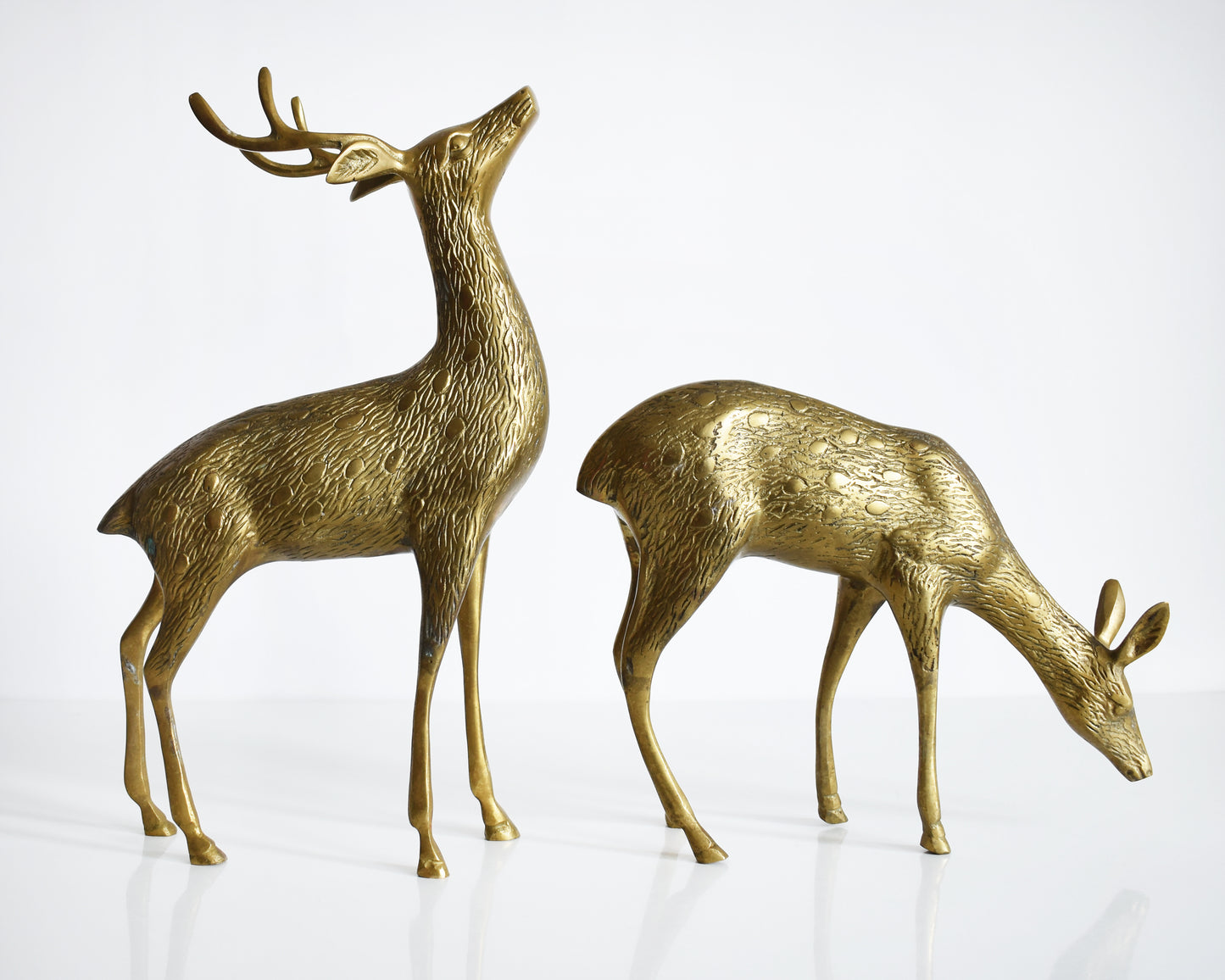 Two vintage brass deers standing on a white table and white background. The buck is standing upright displaying his antlers and the doe is grazing on the ground. Both of the deer have excellent fur and spotted detail.