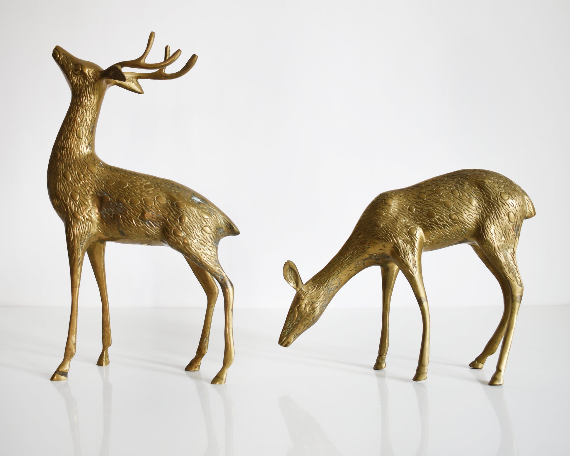 Two vintage brass deers standing on a white table and white background. The buck is standing upright displaying his antlers and the doe is grazing on the ground. Both of the deer have excellent fur and spotted detail.