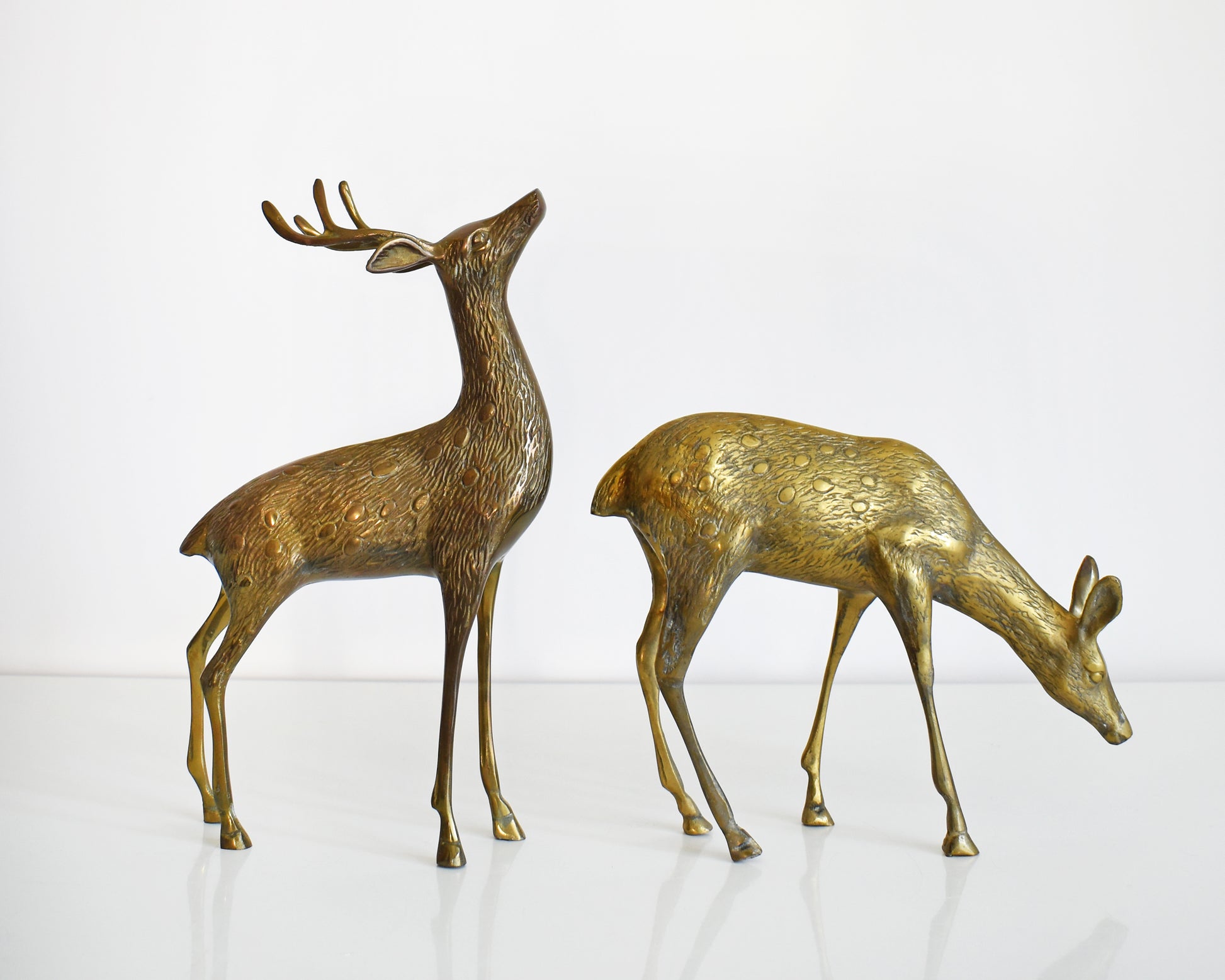 Two vintage brass deers standing on a white table and white background. The buck is standing upright displaying his antlers and the doe is grazing on the ground. Both of the deer have excellent fur and spotted detail.