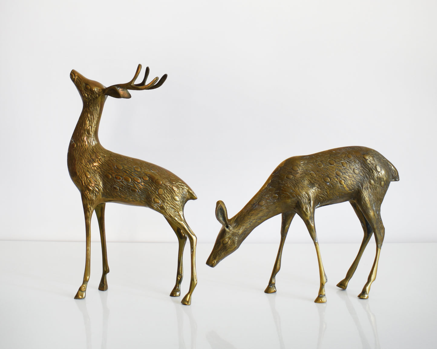 Two vintage brass deers standing on a white table and white background. The buck is standing upright displaying his antlers and the doe is grazing on the ground. Both of the deer have excellent fur and spotted detail.