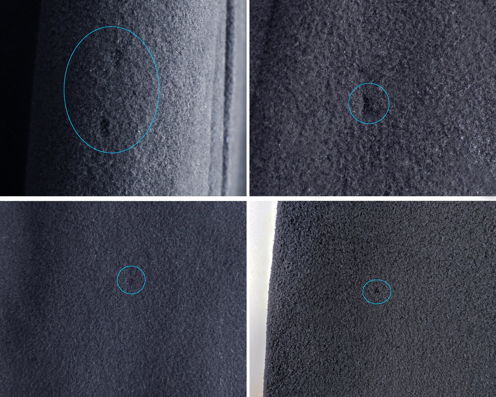 close up of a few scattered mouth bites on the cape